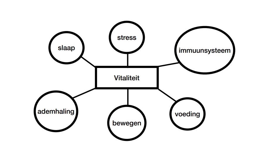 vitaliteit model
